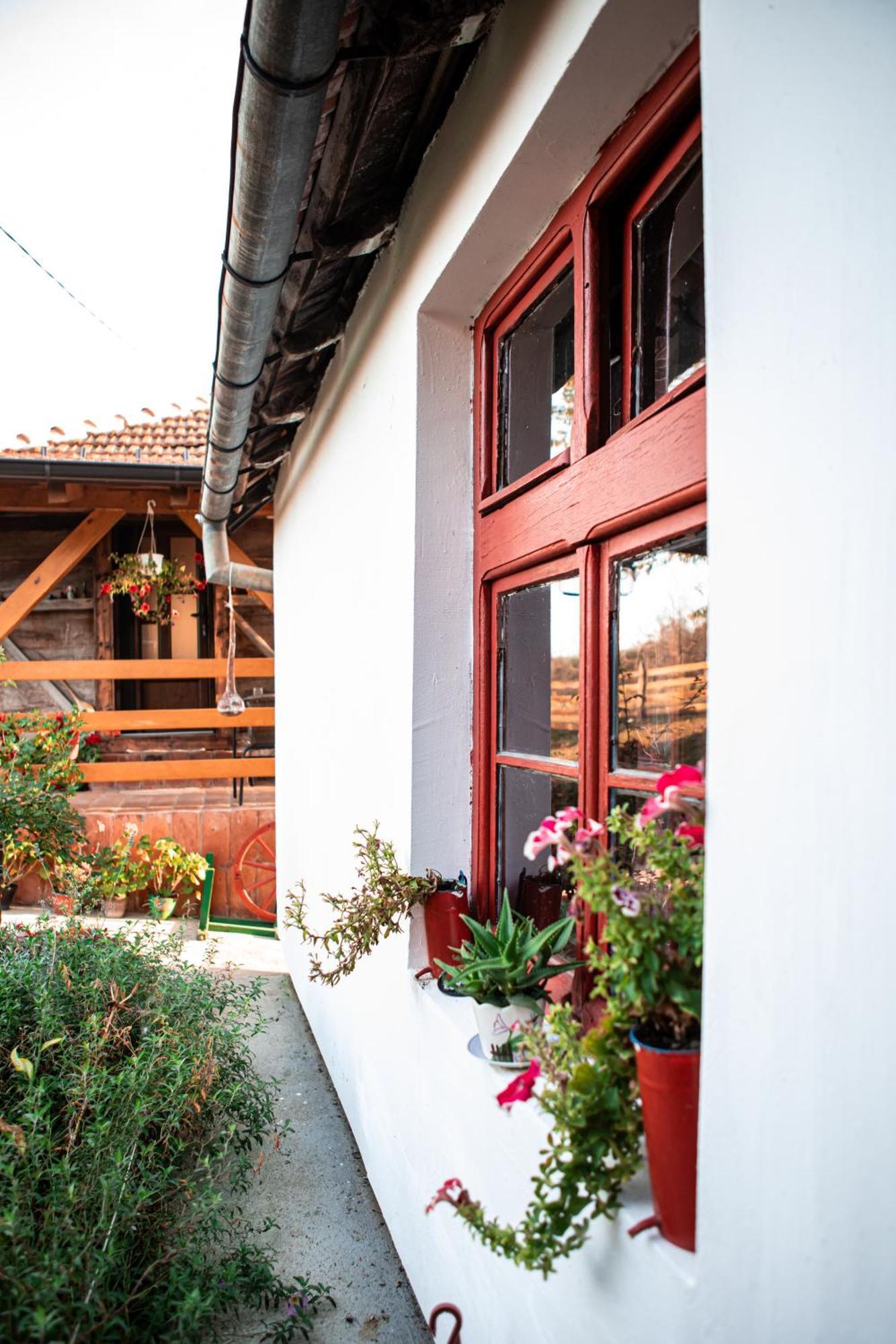 Villa Prenociste Lelic Valjevo Esterno foto