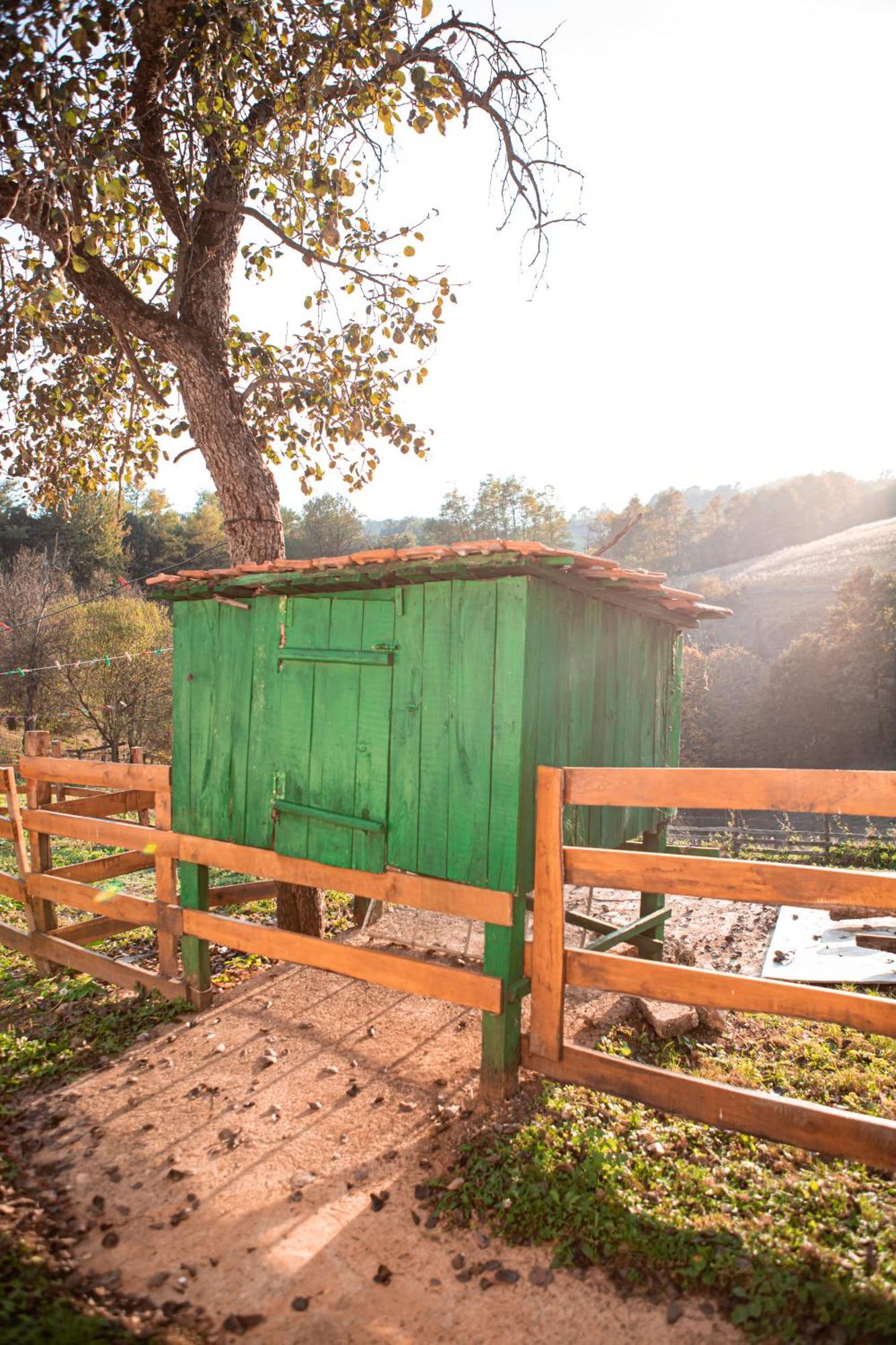 Villa Prenociste Lelic Valjevo Esterno foto