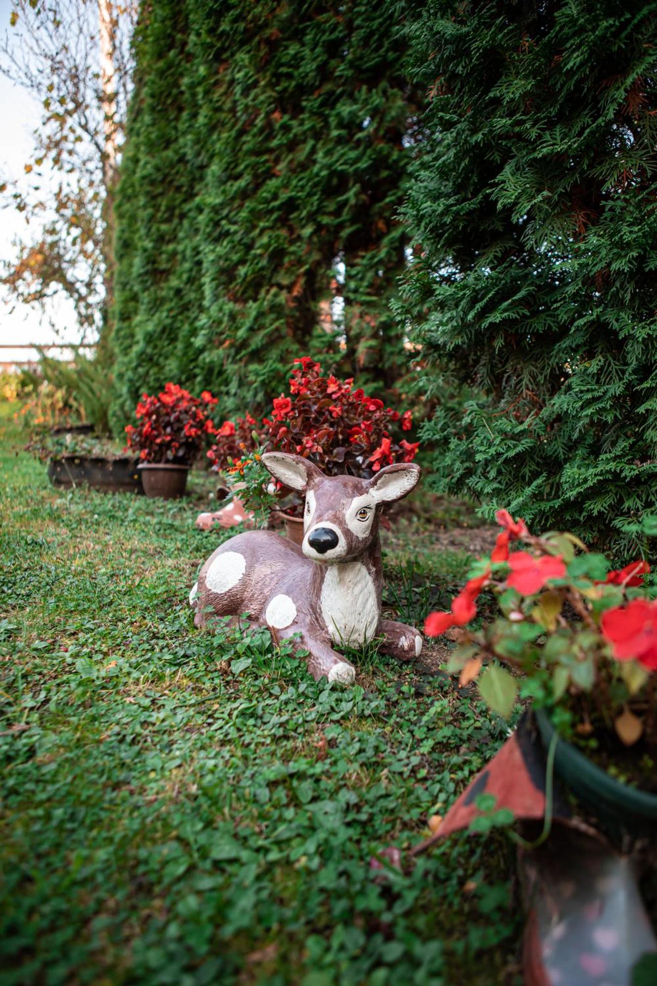 Villa Prenociste Lelic Valjevo Esterno foto
