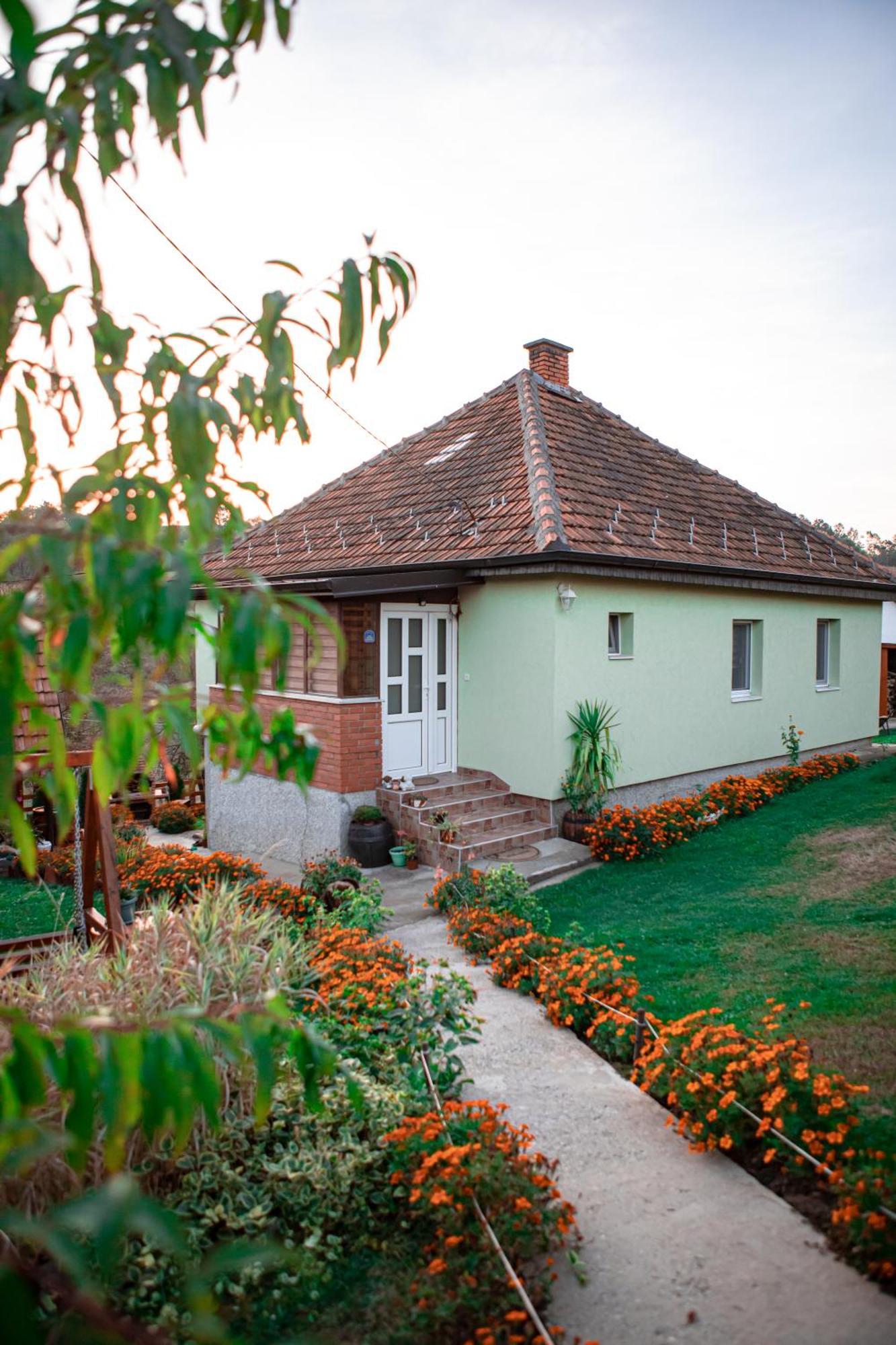 Villa Prenociste Lelic Valjevo Esterno foto