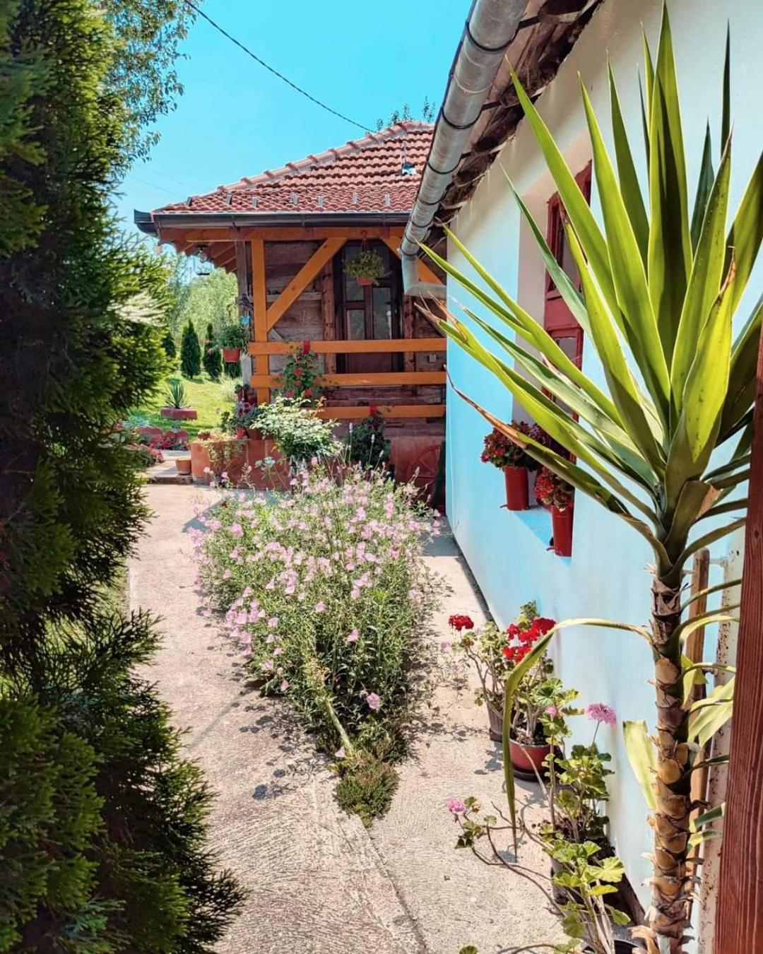 Villa Prenociste Lelic Valjevo Esterno foto